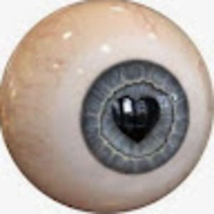 Meet your Posher, Brady